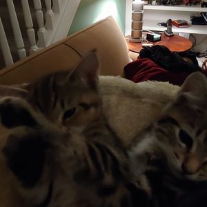 Meet your Posher, Kelley